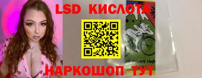 индика Рузаевка