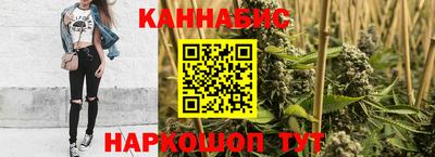 индика Рузаевка