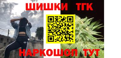 индика Рузаевка