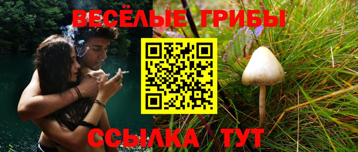 Галлюциногенные грибы Psilocybine cubensis  где найти наркотики  Вход с VPN  Партизанск  Галлюциногенные грибы Psilocybine cubensis 